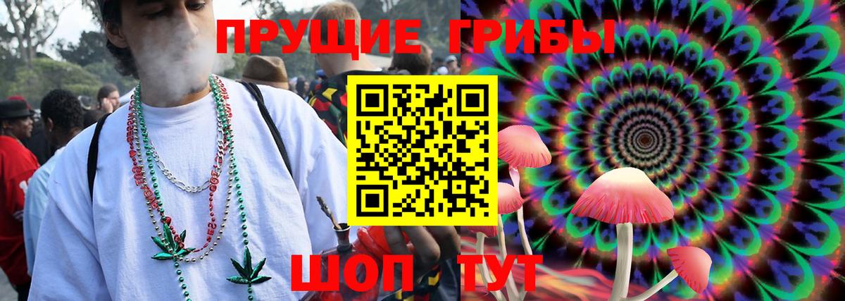 Псилоцибиновые грибы Psilocybe  Вход с VPN  Благовещенск  Галлюциногенные грибы Psilocybine cubensis 