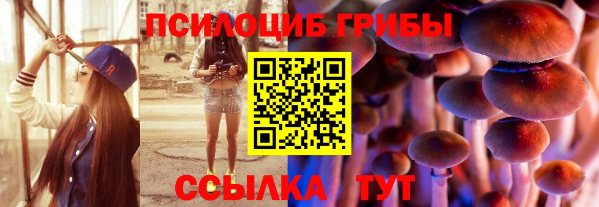 Галлюциногенные грибы Cubensis Благовещенск